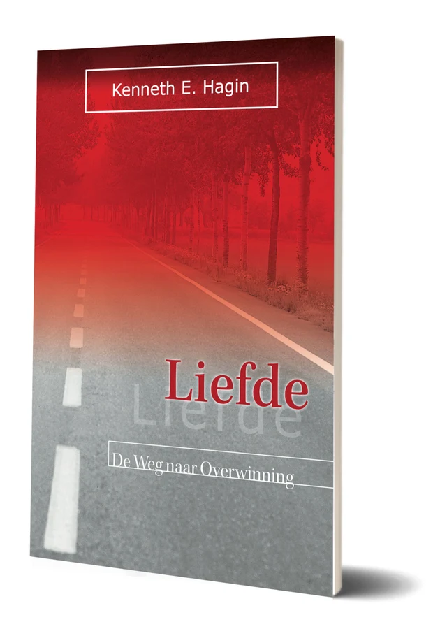 Omslag van Liefde: de weg naar overwinning