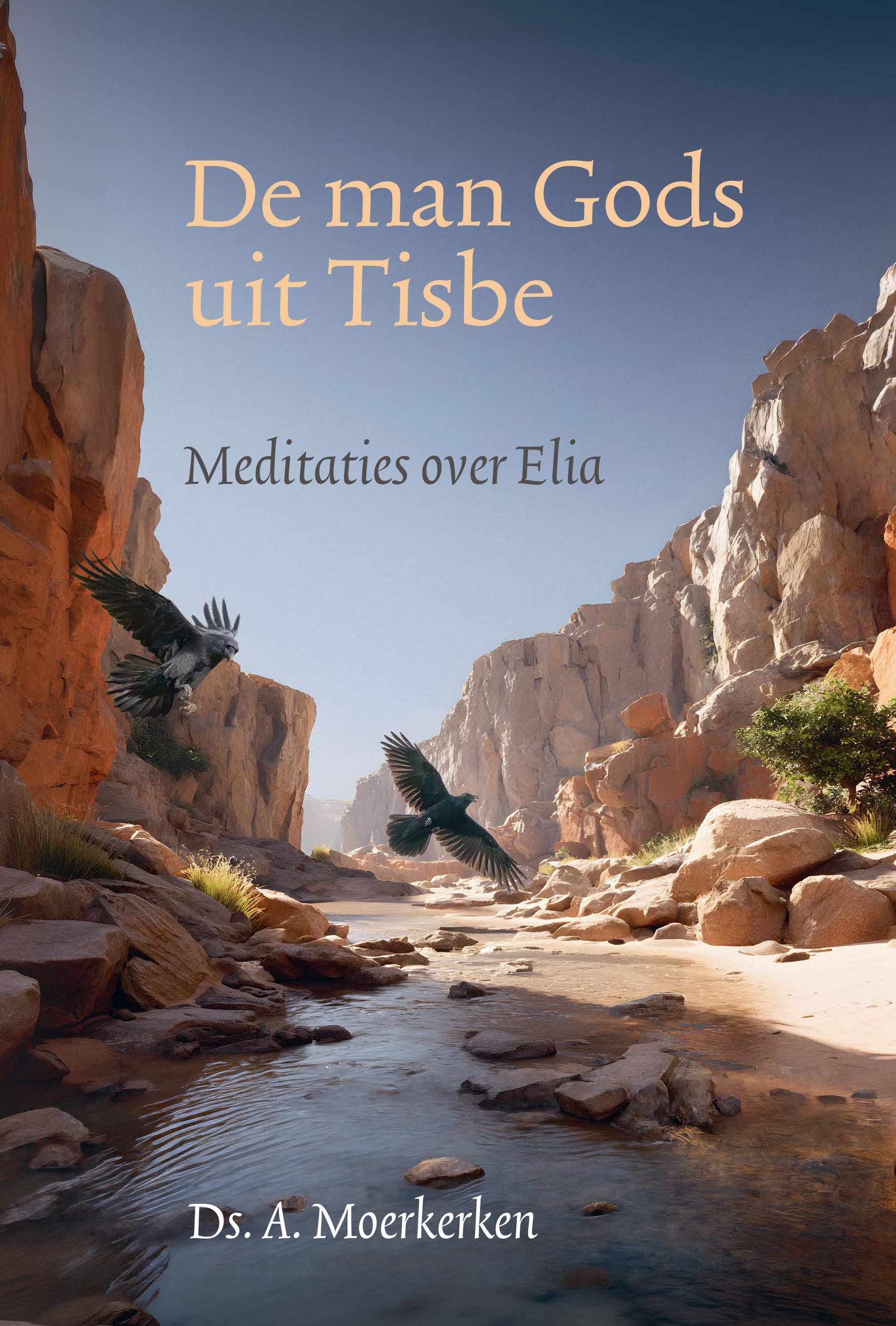Omslag van De man Gods uit Tisbe